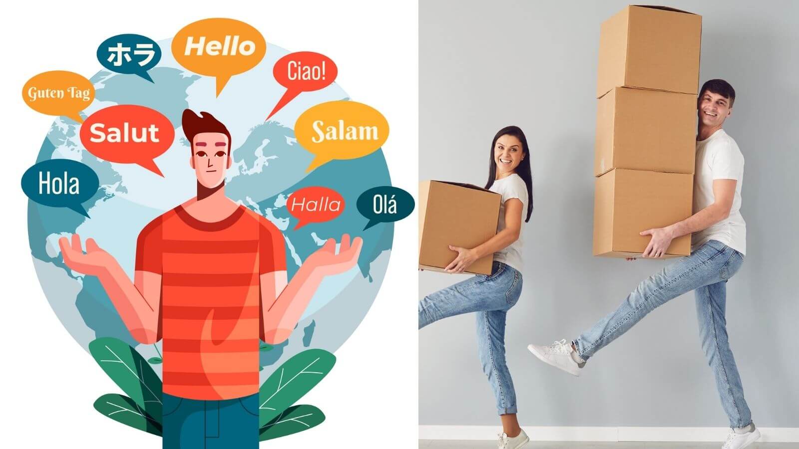 Multilingual WordPress Websites